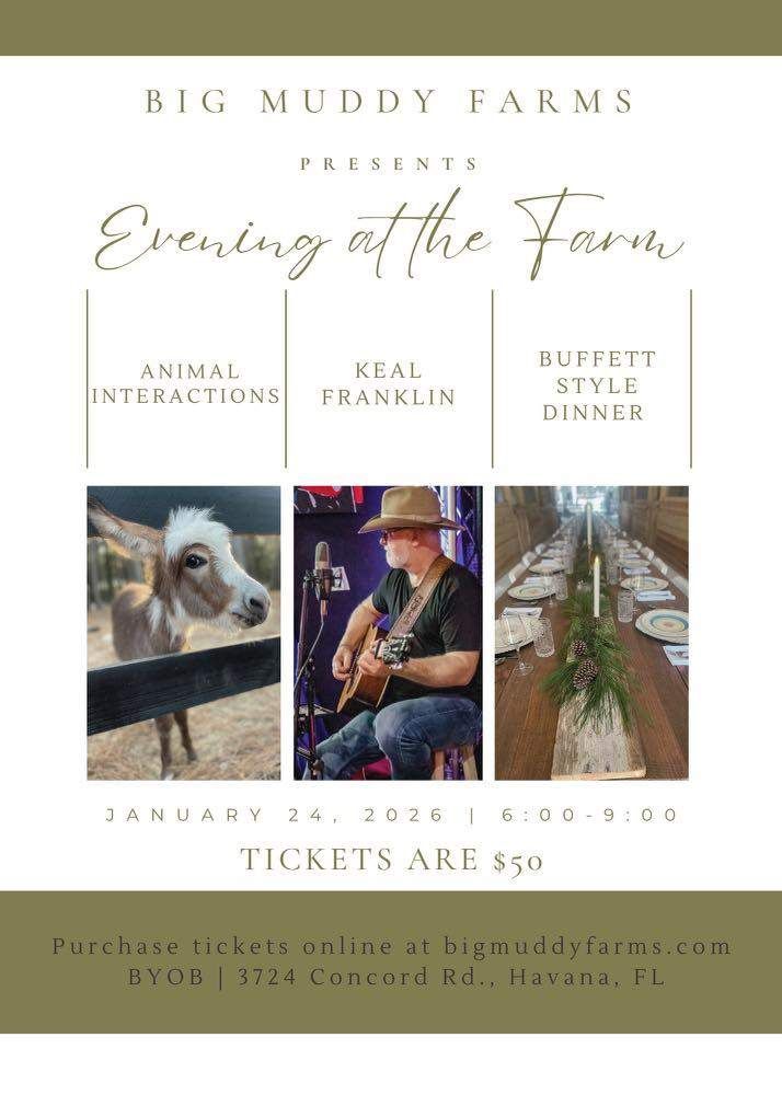 Evening At The Farm