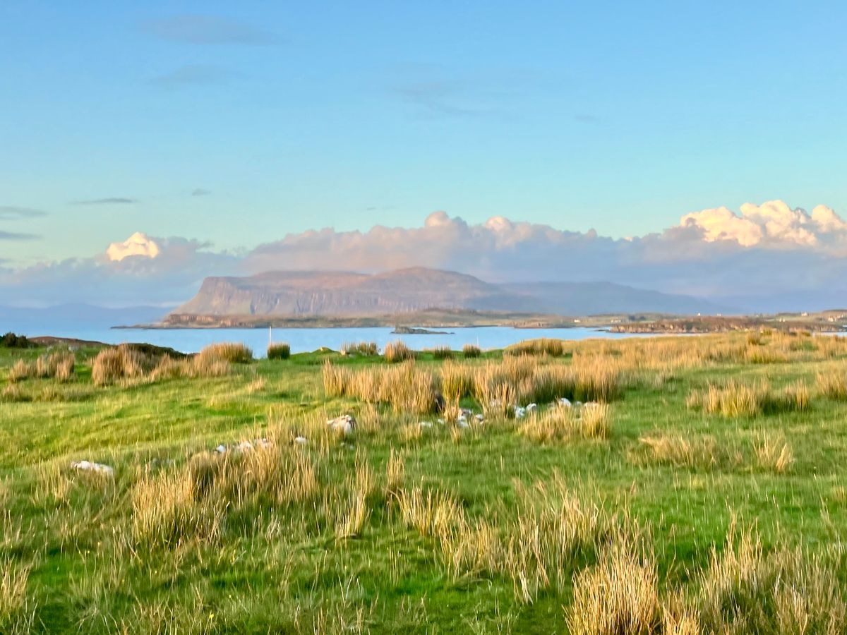 Traditional Irish Session
