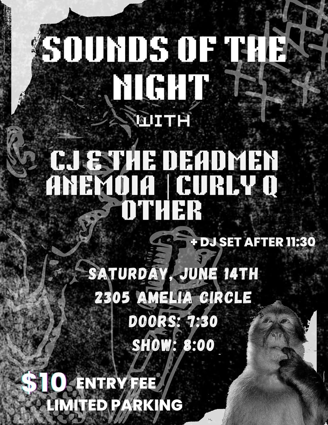 Sounds of the Night